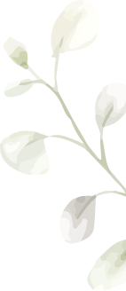 Monsoon offers in Kerala resorts